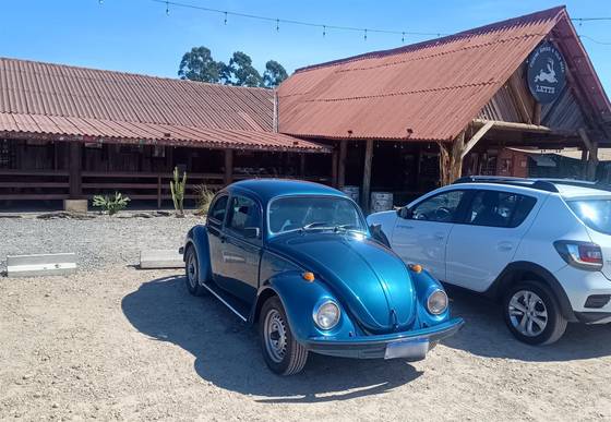 VOLKSWAGEN FUSCA 1.6 8V GASOLINA 2P MANUAL